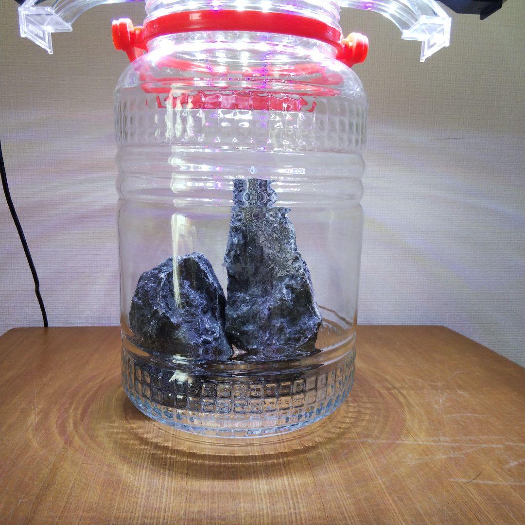 ももたろうページ