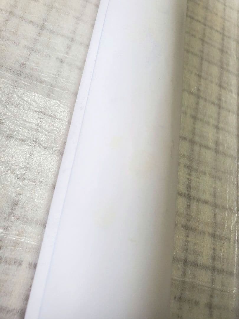 ワンピースポスター