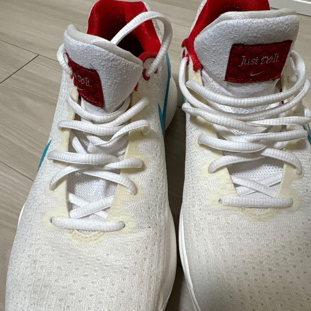 日本 未発売 28.0 NIKE ナイキ ハイパーダンクロー 2017 ドラゴン