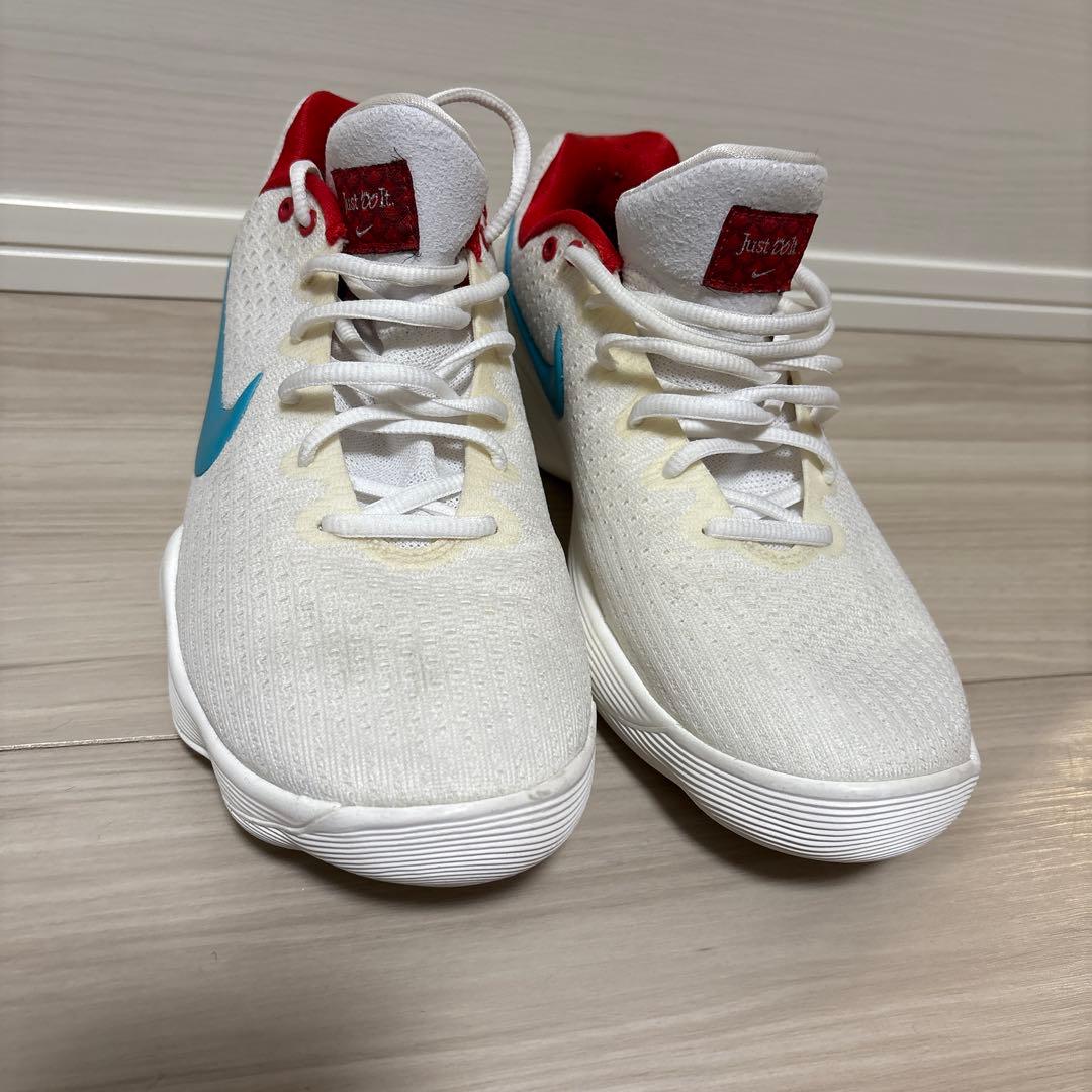 日本 未発売 28.0 NIKE ナイキ ハイパーダンクロー 2017 ドラゴン