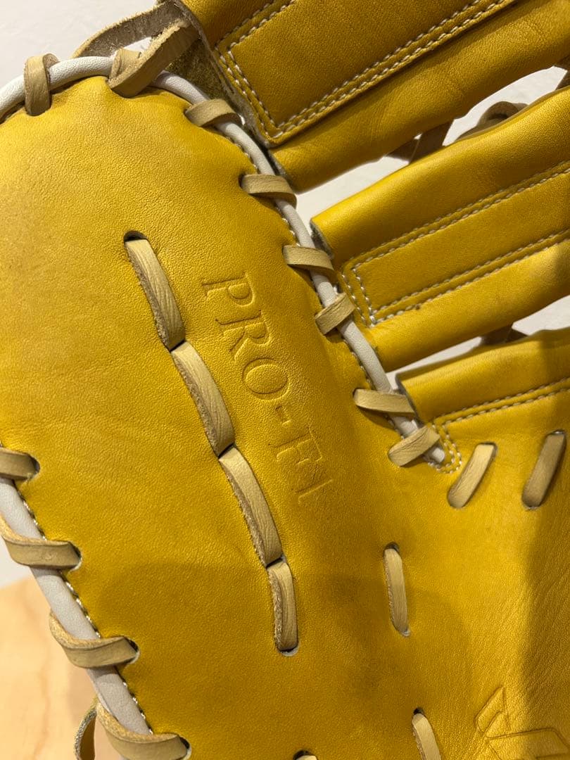 極上 希少カラー 軟式 ハタケヤマ ファーストミット