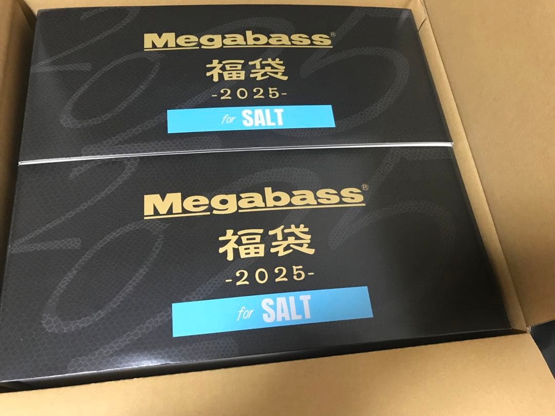 メガバス　2025 福袋　ソルト　カゲロウ キリンジ