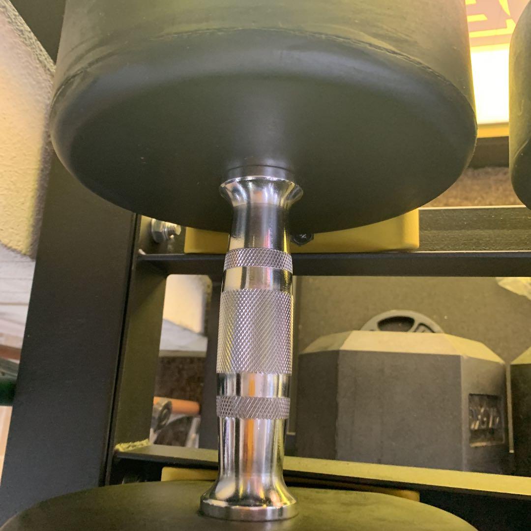 32.5kg ラバーダンベル 2個