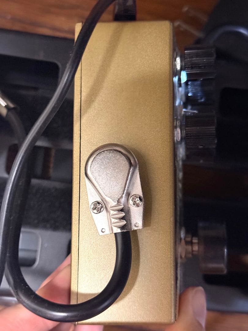 Walrus Audio Warhorn 付属品あり