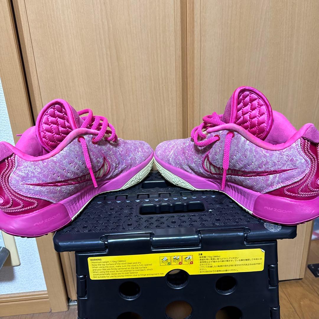 ナイキレブロン21