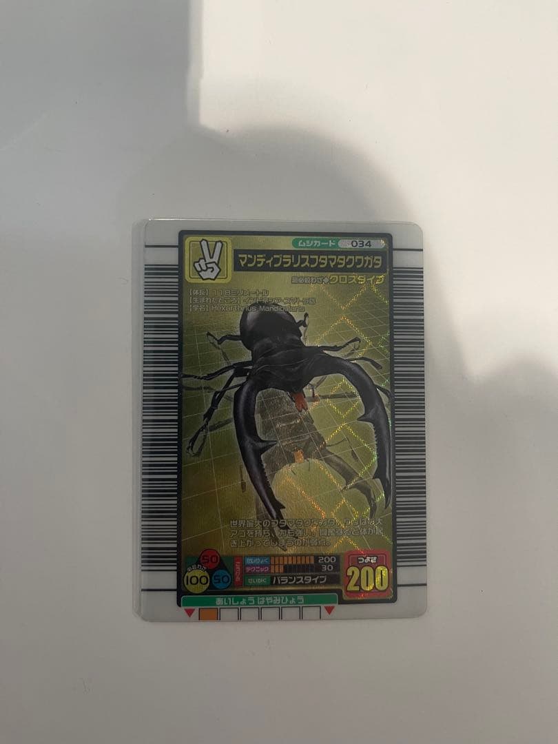 【即日発送】マンディブラリスフタマタクワガタ 5周年 ハードコーティング