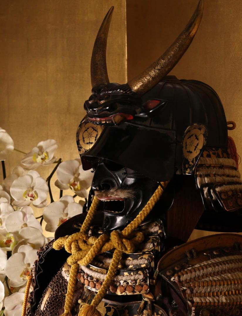 BY05　甲冑　具足　五瓜に唐花家紋唐草胴　獅子噛み前立　鎧櫃付き　兜　武具