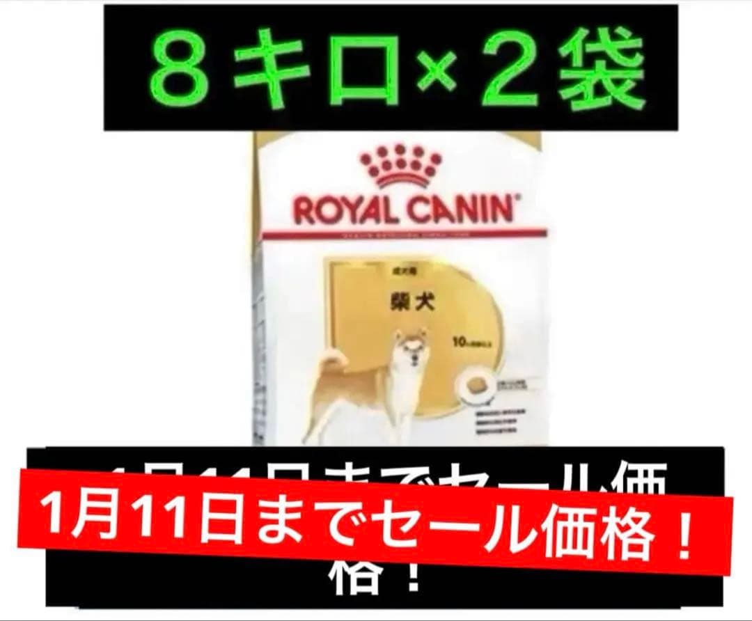  CANIN 柴犬用ドライフード 8キロ×2袋