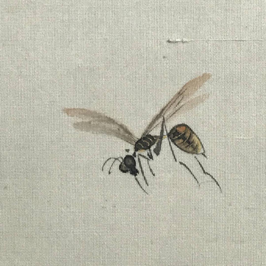 【真作】赤松雲嶺/牡丹に蜂図/花鳥図/花図/掛軸/名家伝来/AD-101