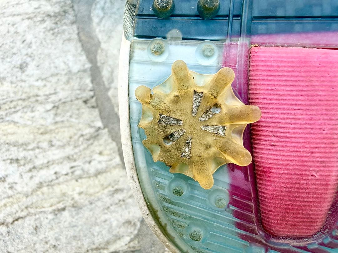 FOOT JOY　ハイパーフレックス カーボン ボアシューズ　元箱付き