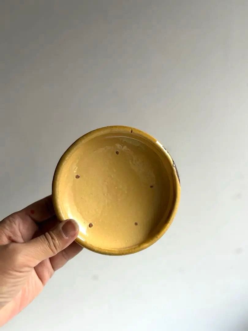 763 骨董 アンティーク 布志名焼 ガレナ釉皿 5点 民芸 柳宗悦 美品 明治