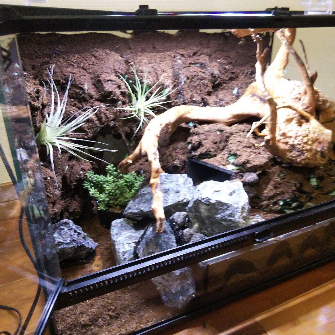 【受注生産】爬虫類飼育ケージ