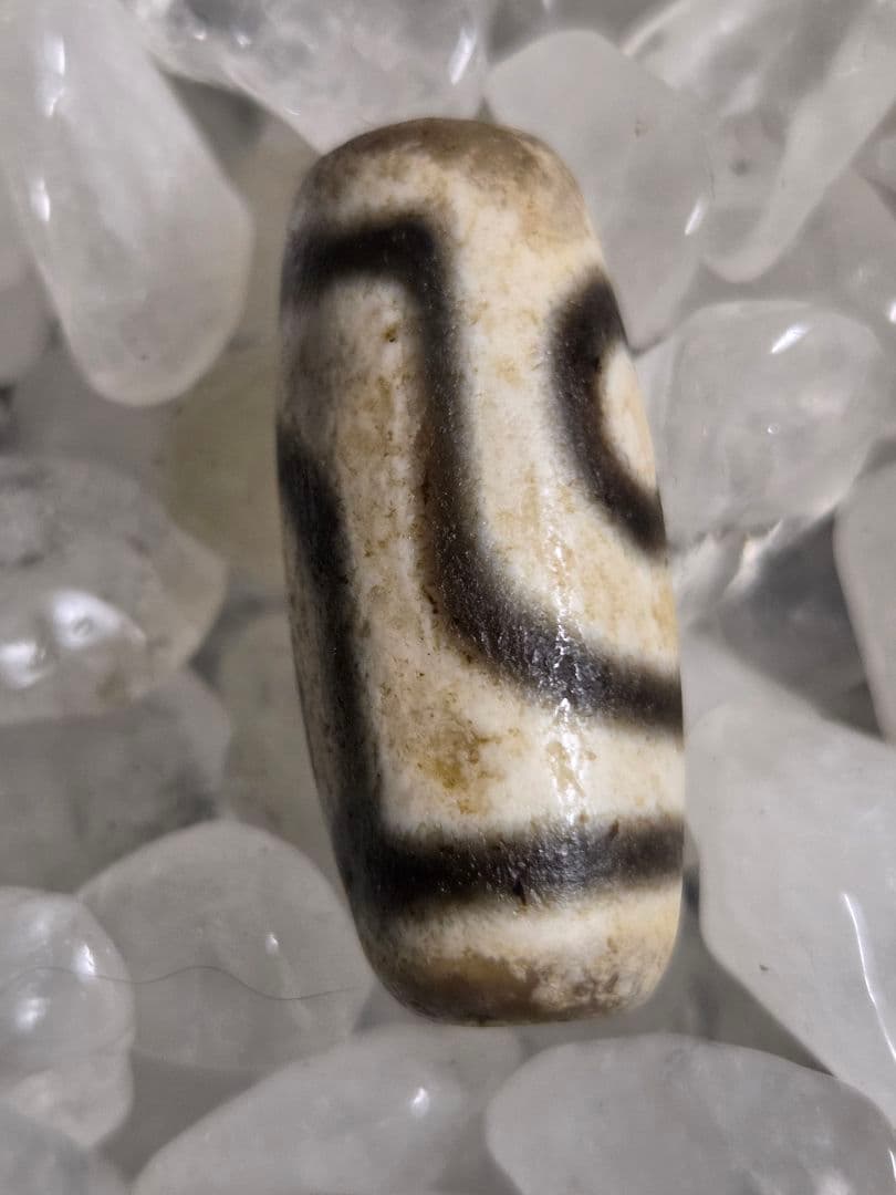 977　天珠　二眼天珠　貴重　珍品　dzibeads　！