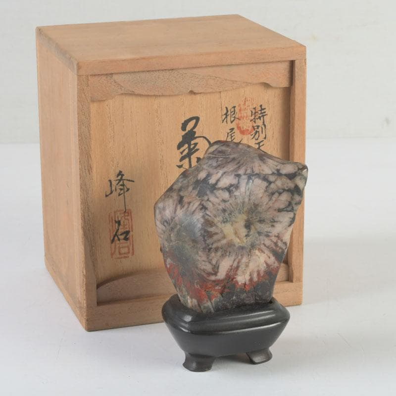 岐阜県根尾谷産　天然石　鑑賞石　菊花石　唐木台付　書付共箱　V　9425