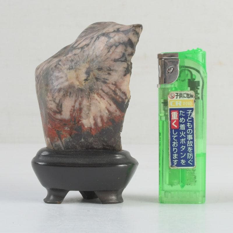 岐阜県根尾谷産　天然石　鑑賞石　菊花石　唐木台付　書付共箱　V　9425