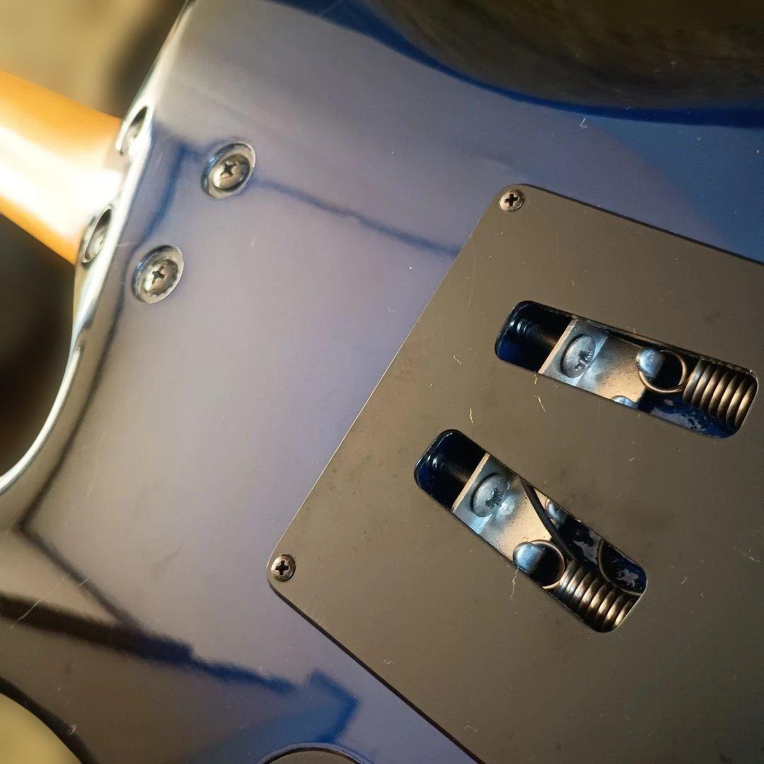 Aria ProⅡ アリアプロ2 MAGNA SERIES SSH