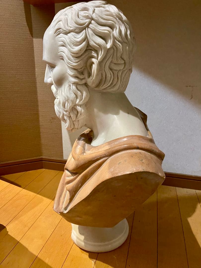 石膏？ 大理石？ 男性像 バスト 彫刻 芸術 デッサン インテリア