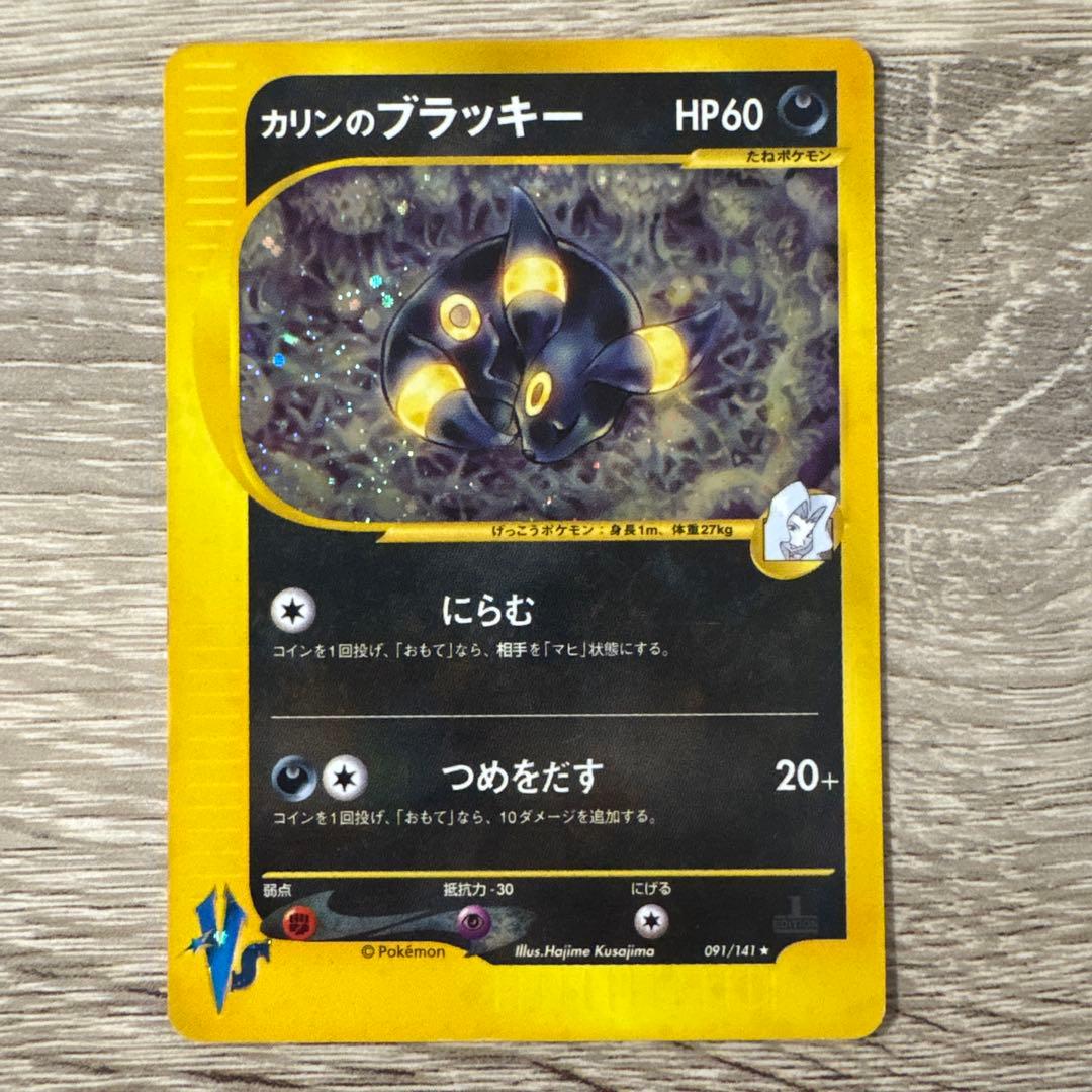 Seizachan　ゼニガメ ブラッキー