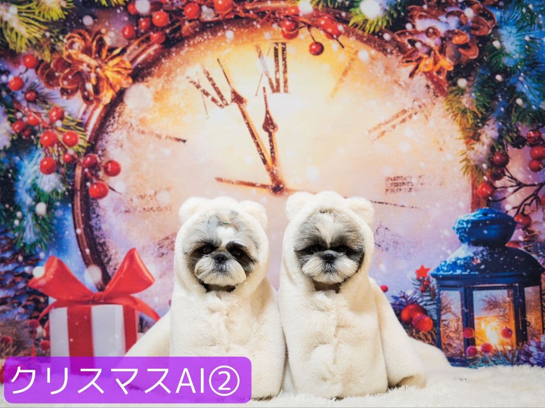 背景布【お正月I】サンプル　縦長　ペット撮影用ブース年賀状　梅の花　和柄　赤富士