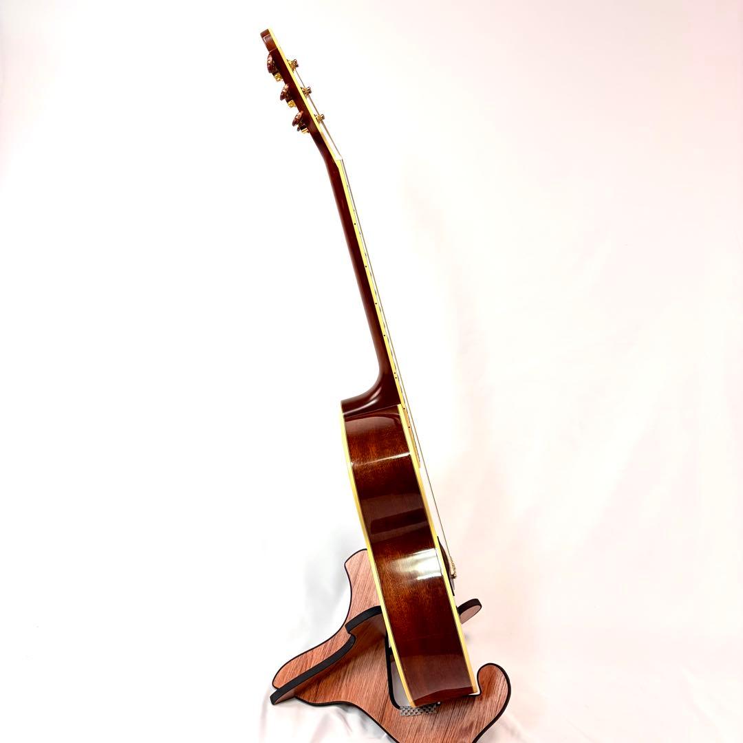 ARIA RFTE-MM Disneyコラボ ミッキーマウス　エレアコ