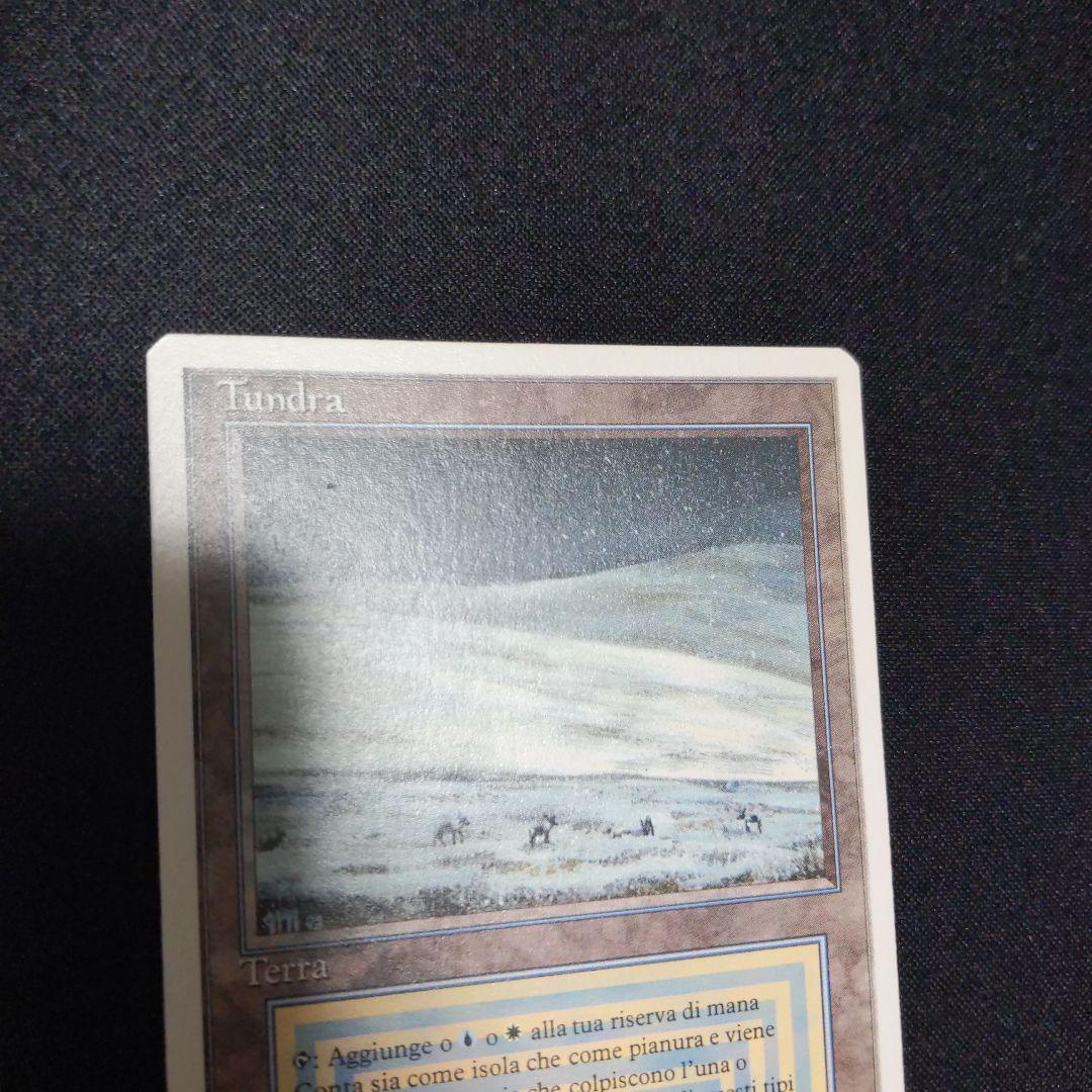 ●【訳アリ】　Tundra　他言語　１枚