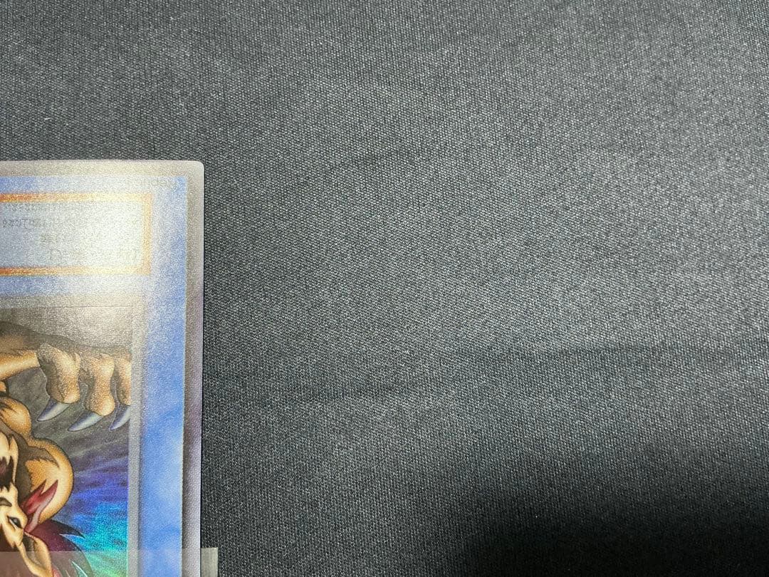 【確認用】 スーパー・ウォー・ライオン