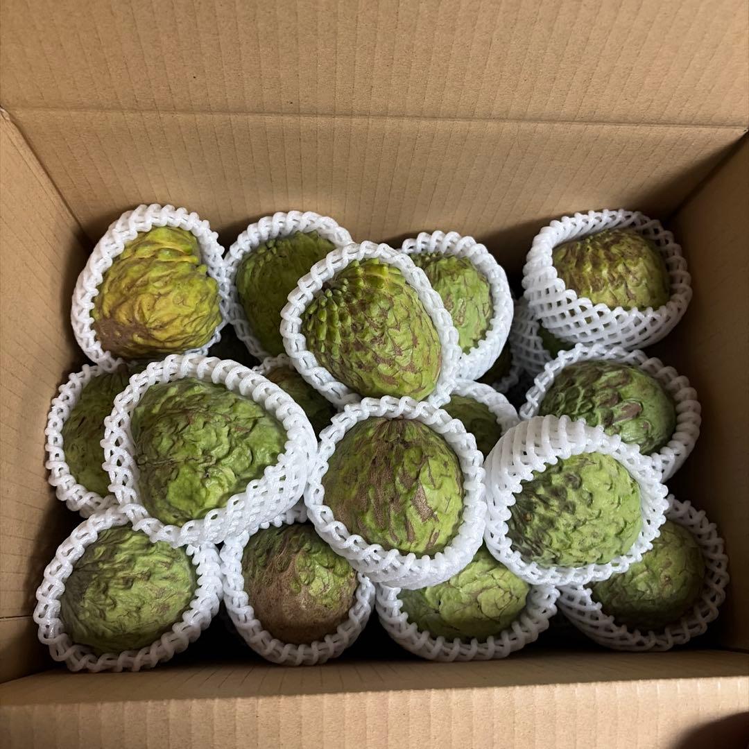 箱番号10.アテモヤ　　小さなサイズ7kg