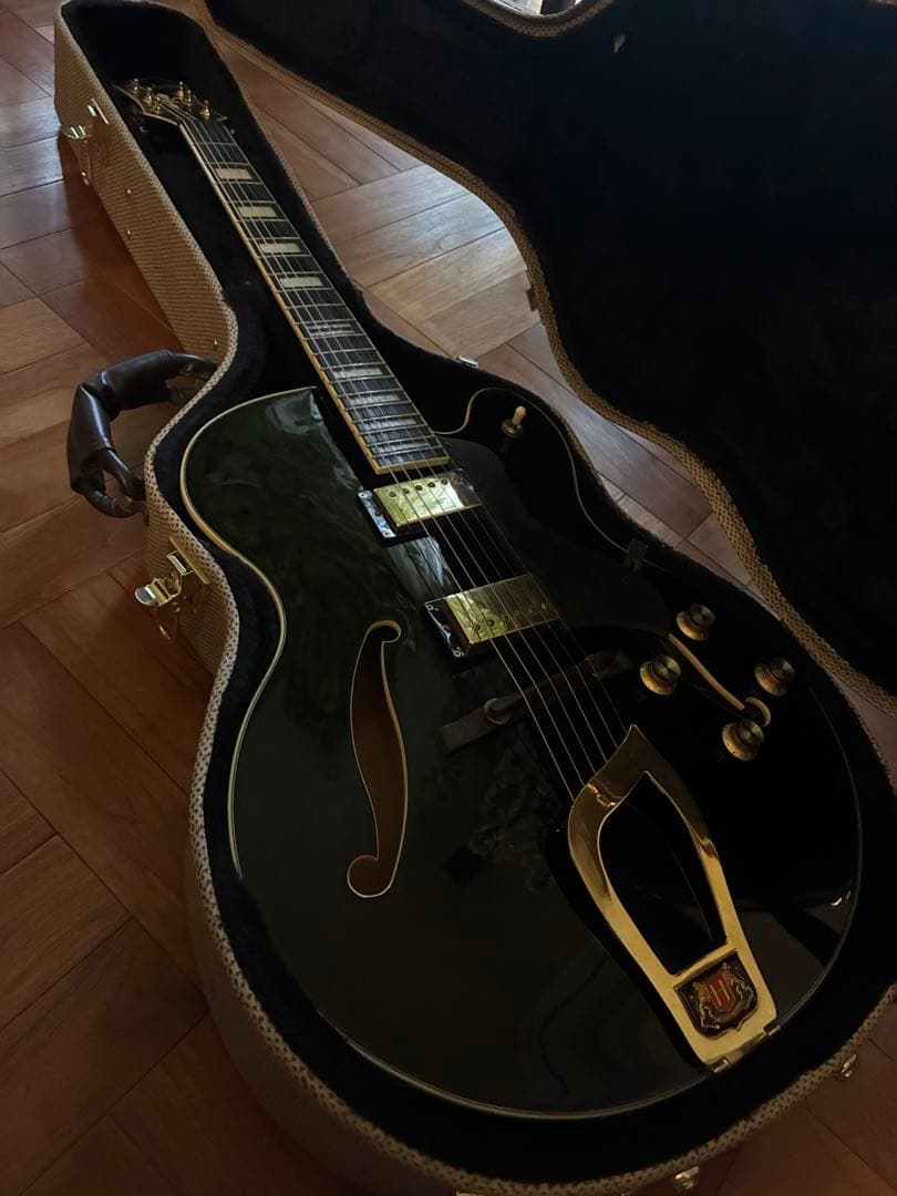 HAGSTROM HJ500 セミアコ ハードケース付 送料無料エレキギター