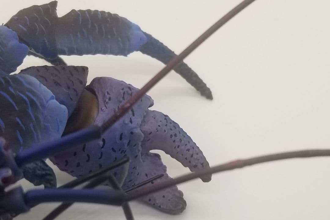 いきもの大図鑑プレミアム　ヤシガニ