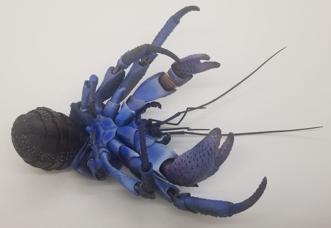 いきもの大図鑑プレミアム　ヤシガニ