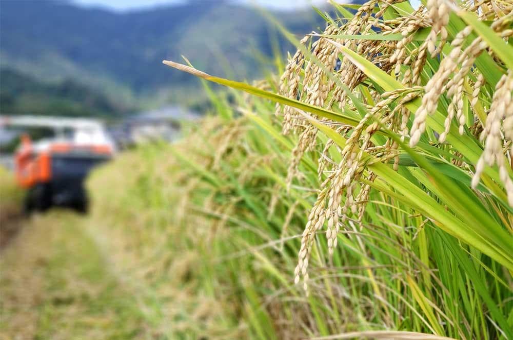 R７★ひろしまの米★ヒノヒカリ20kg（精米後18kg）