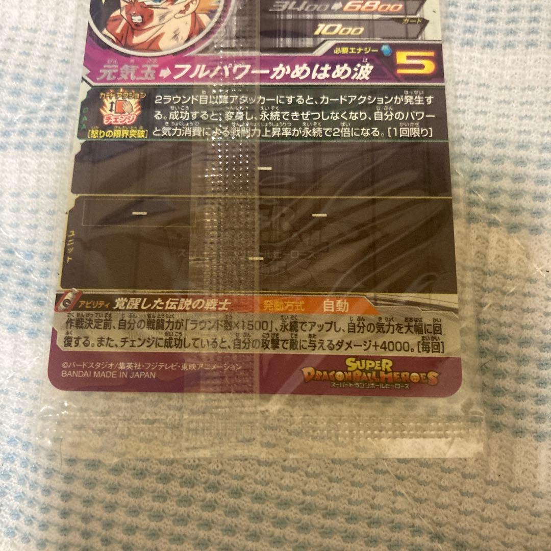 孫悟空BM3-SEC2 パンHG1-49P