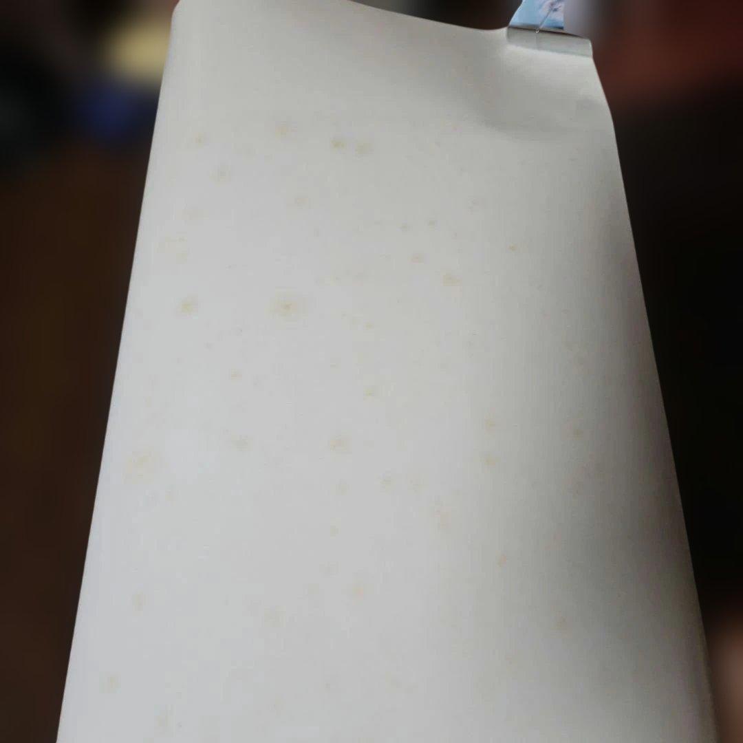 非売品 浜崎あゆみ BAKE チョコレート ポスター