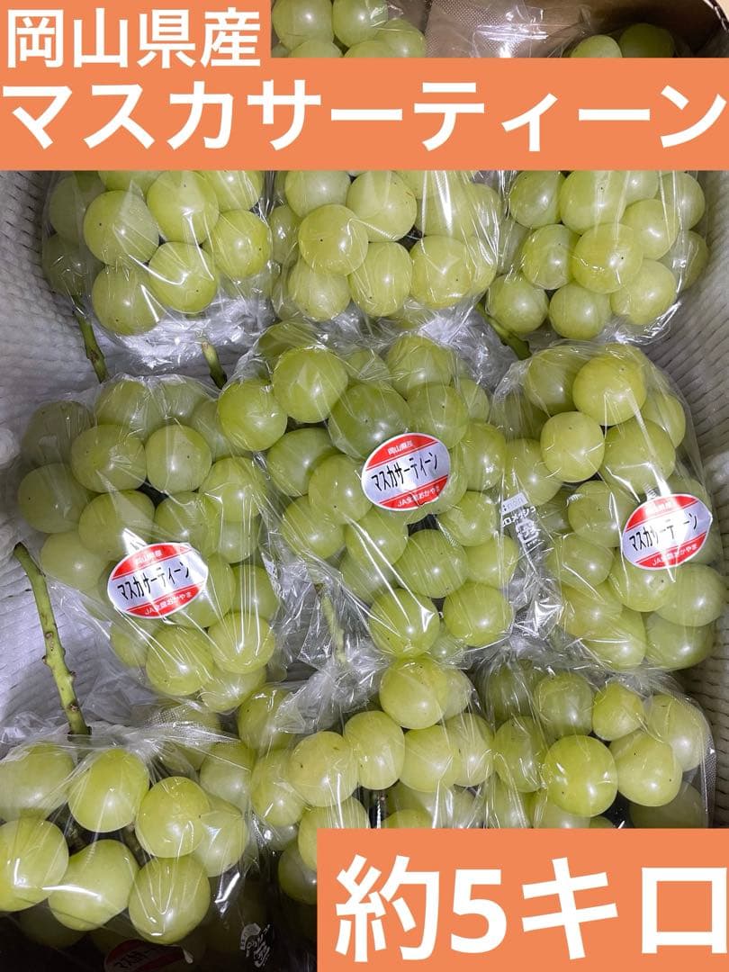 ① 【岡山県産】マスカサーティーン(葡萄)9〜10房 約5キロ