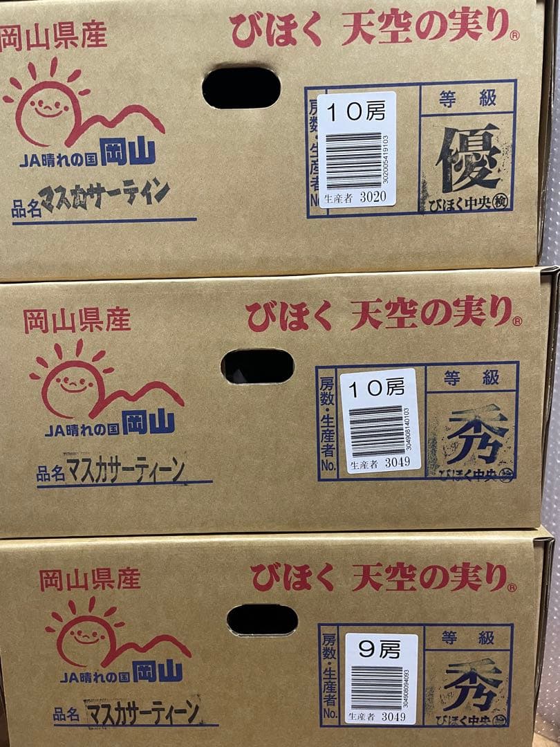 ① 【岡山県産】マスカサーティーン(葡萄)9〜10房 約5キロ