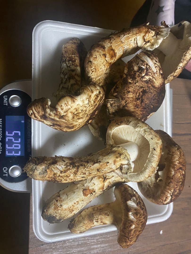 からあげクンさん専用