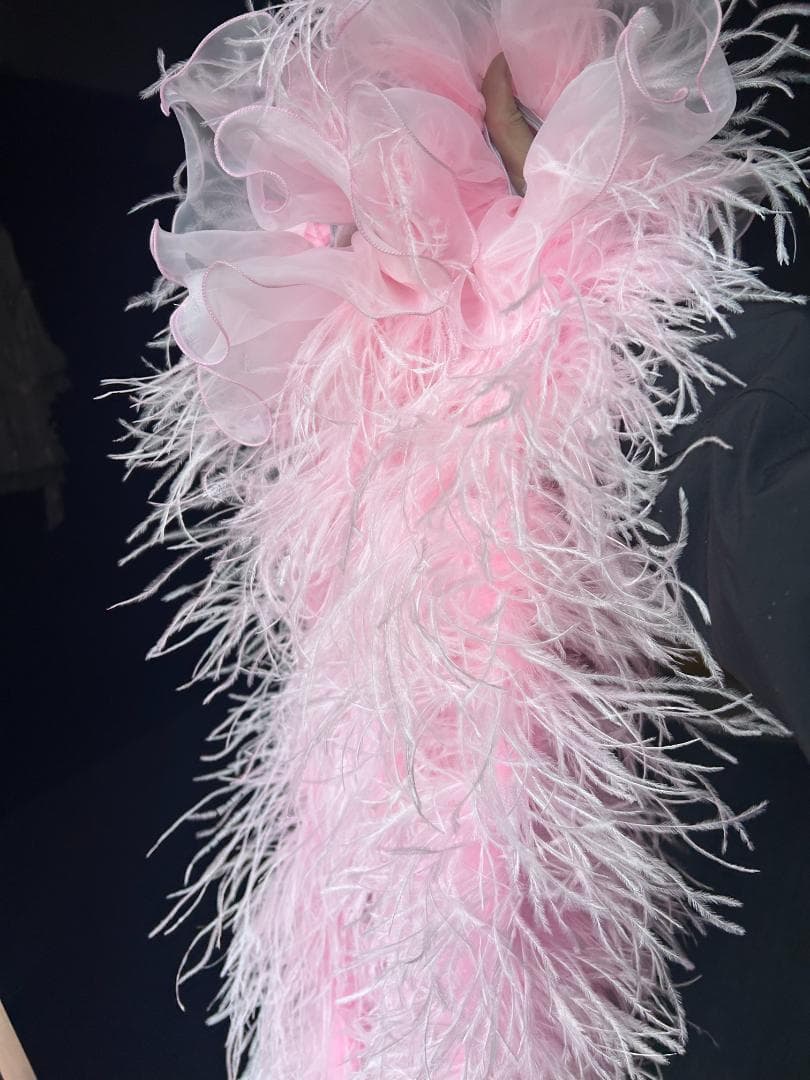 オーストリッチフロート 羽根 社交ダンス モダンダンス オーダーメイド