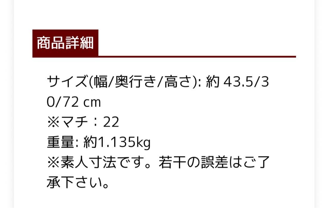 LANGE ブーツバッグ　スポーツ 大容量 青