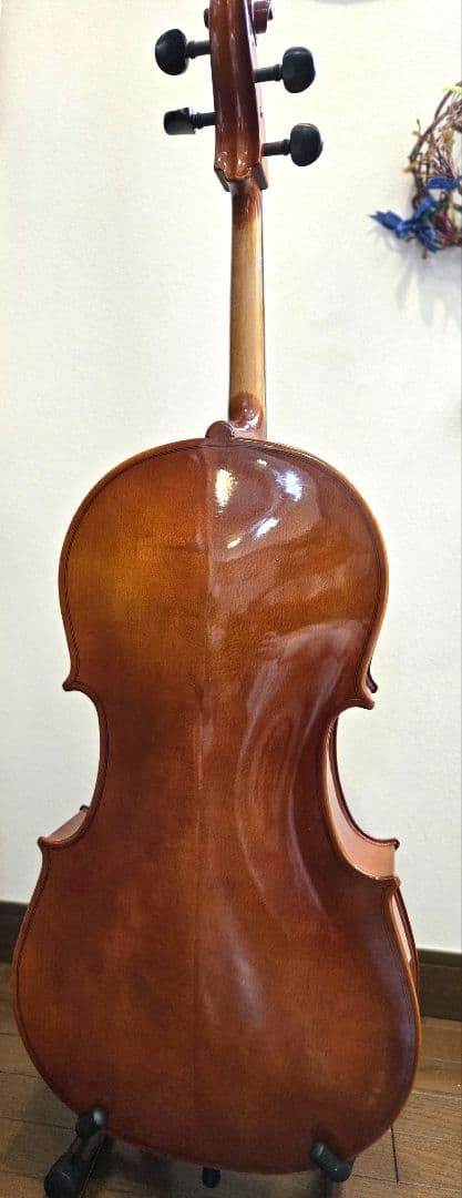 carlogiordanoカルロジョルダーノ チェロ　sc100 1/2