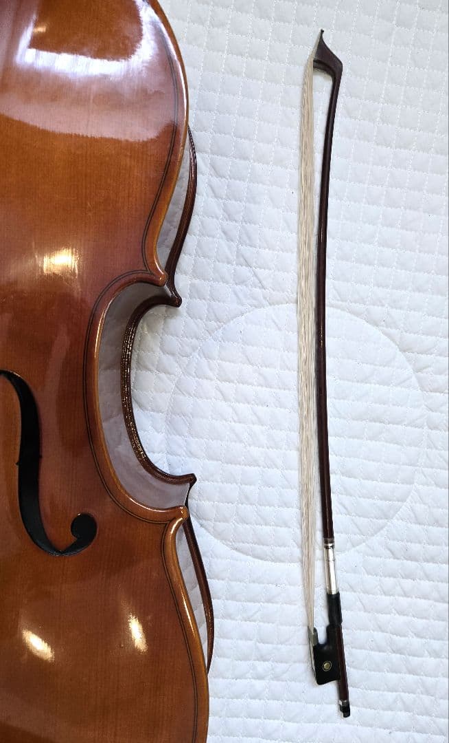 carlogiordanoカルロジョルダーノ チェロ　sc100 1/2