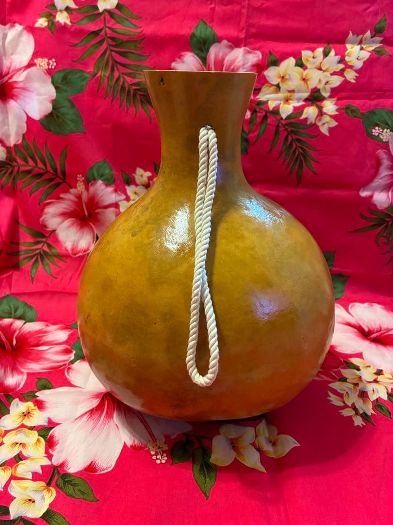 イプ　フラダンス用　楽器