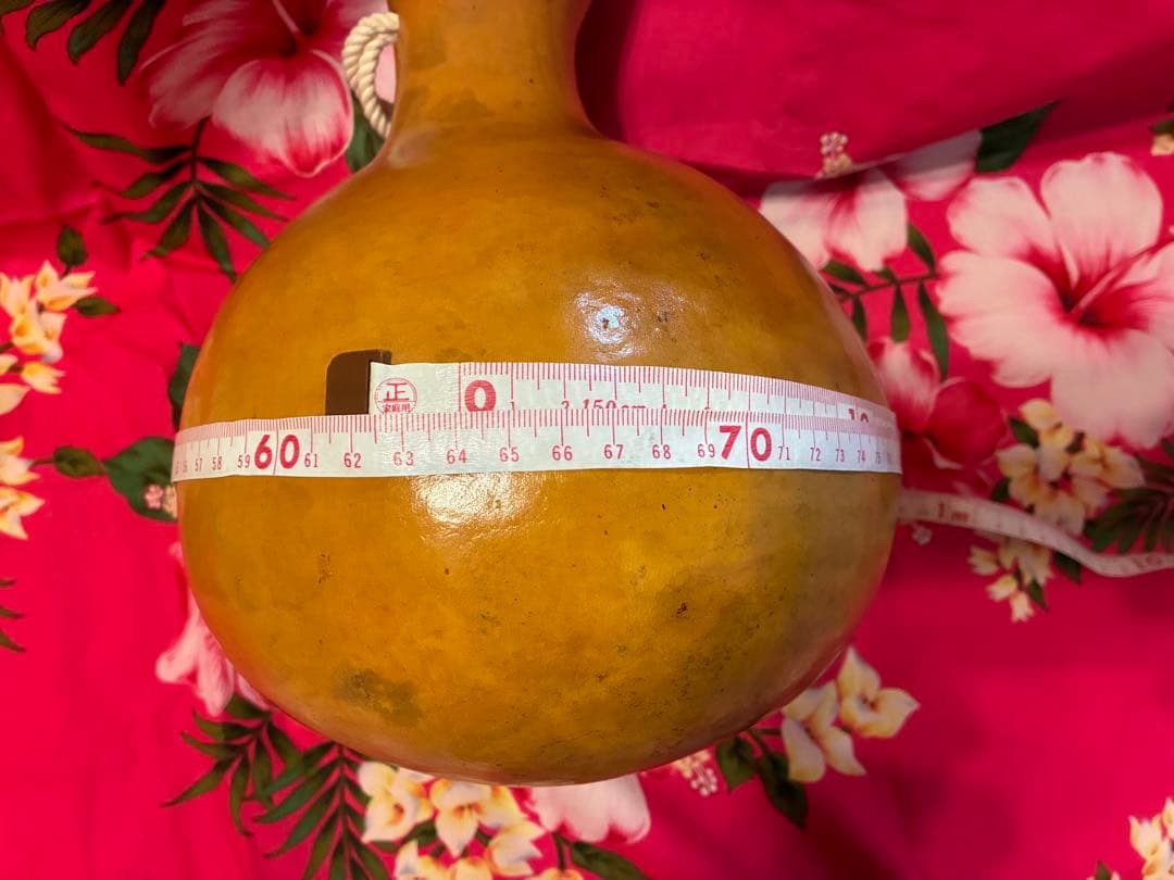 イプ　フラダンス用　楽器