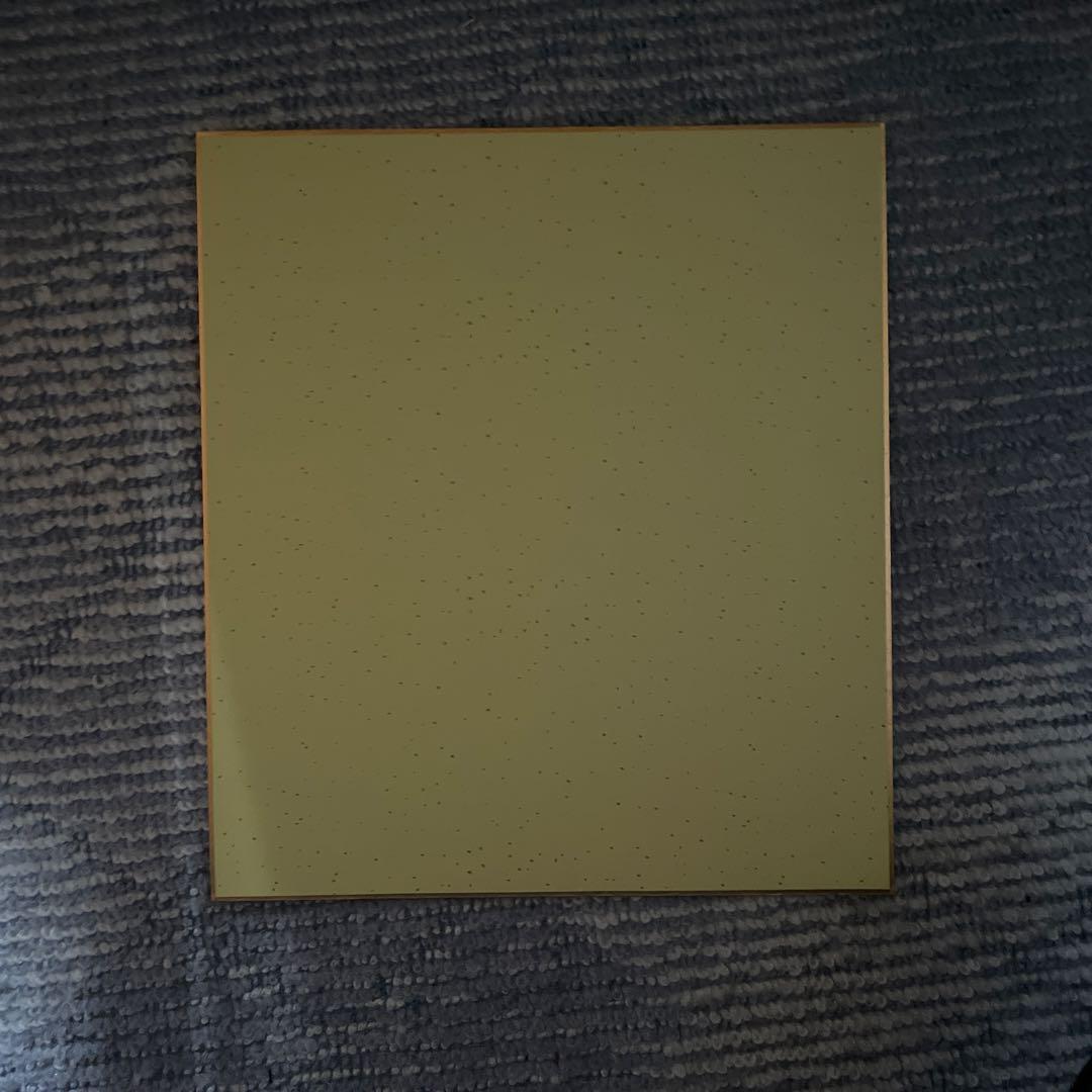 入手困難 名探偵コナン 青山剛昌 直筆色紙