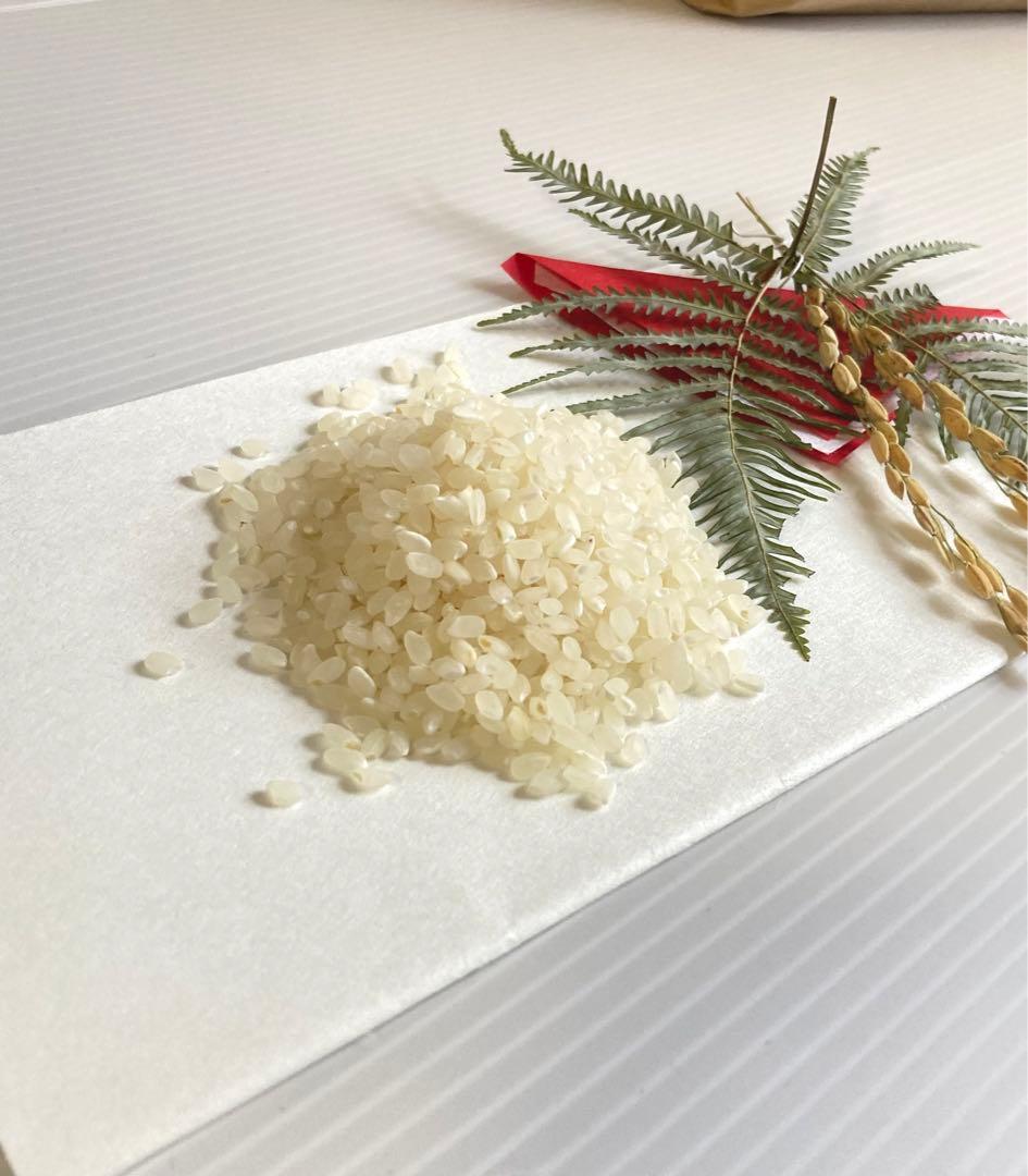 令和7年度三重県産コシヒカリ　白米15kg