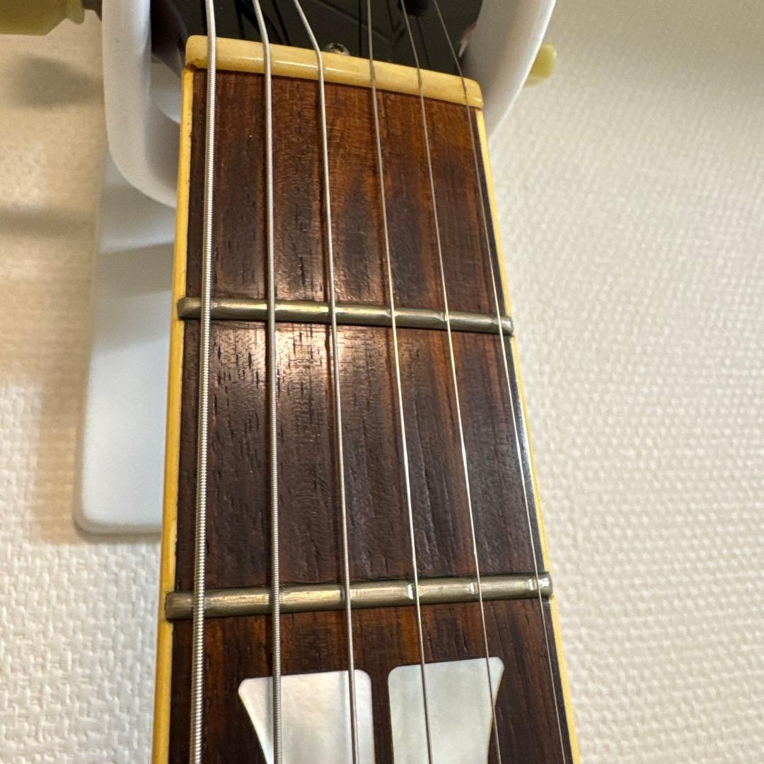 FUJIGEN フジゲン タイムレスティンバー BAT-20TT レスポール