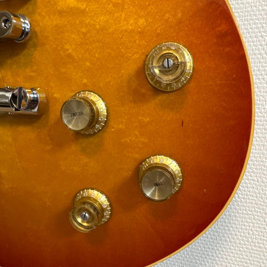 FUJIGEN フジゲン タイムレスティンバー BAT-20TT レスポール