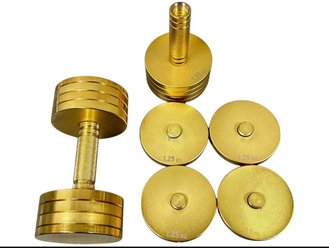 美品 NORTHDEER サンドブラスト版ゴールドアジャスタブルダンベル10kg