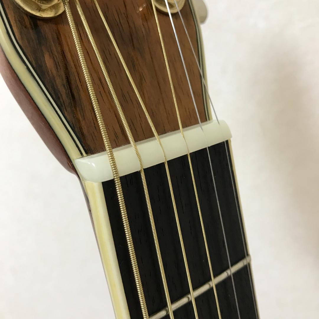 美品 整備品 MORRIS TF-801 アコースティックギター ハードケース付