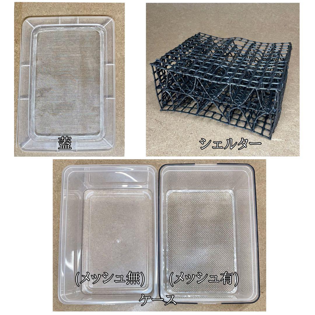 しゅん様　S(フル)