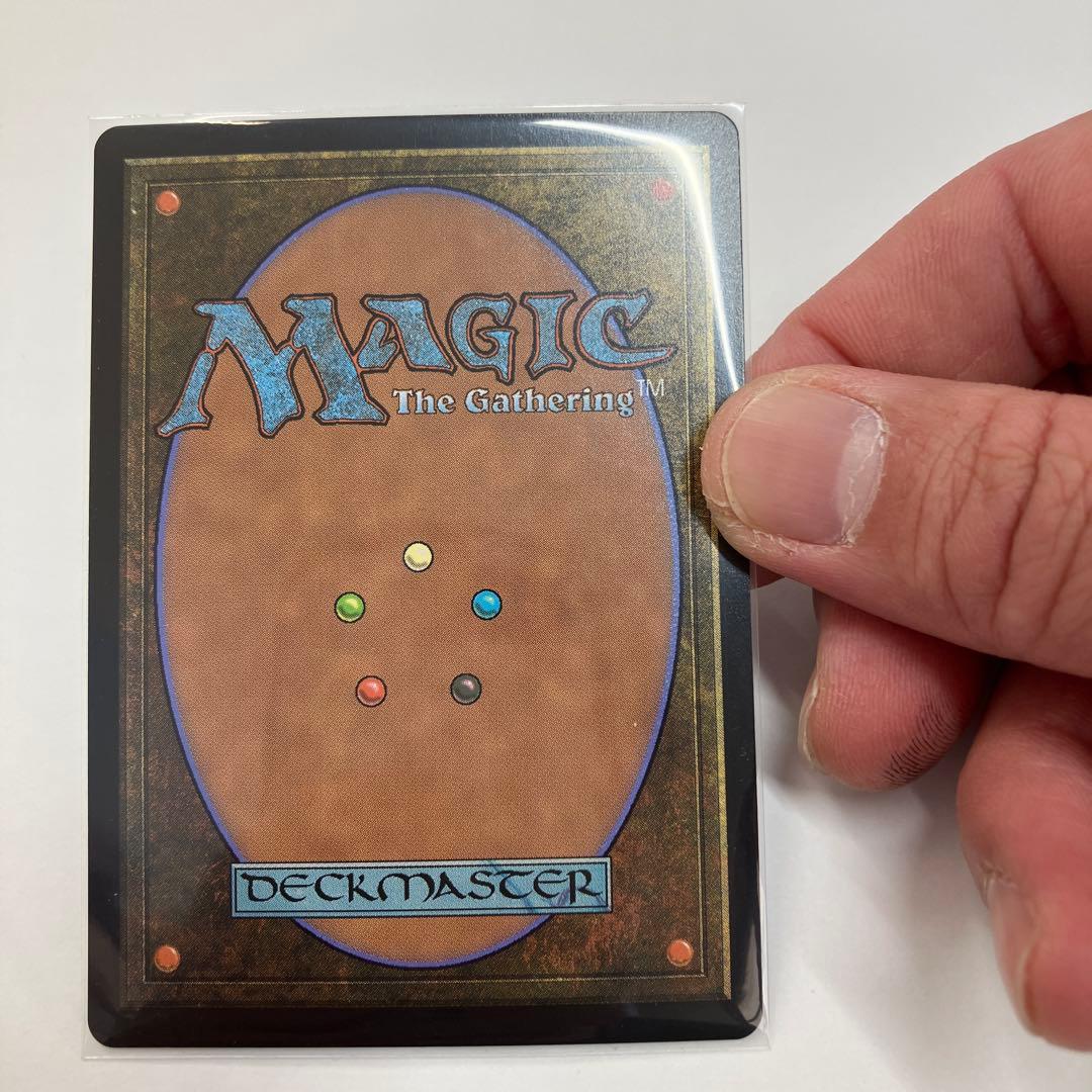 絵描きの召使い　ショーケース　foil